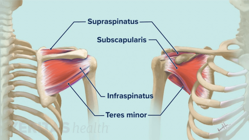 Rotator cuff pain β 2 image 22